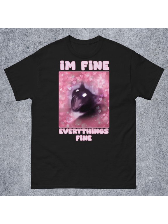 Im Fine Everythings Fine Funny Cat Meme Tee Shirt Gift for Woman and Man, Tweaking Cat T-shirt, Goofy Ahh Tee, Stupid Gifts, Silly Cats Tees