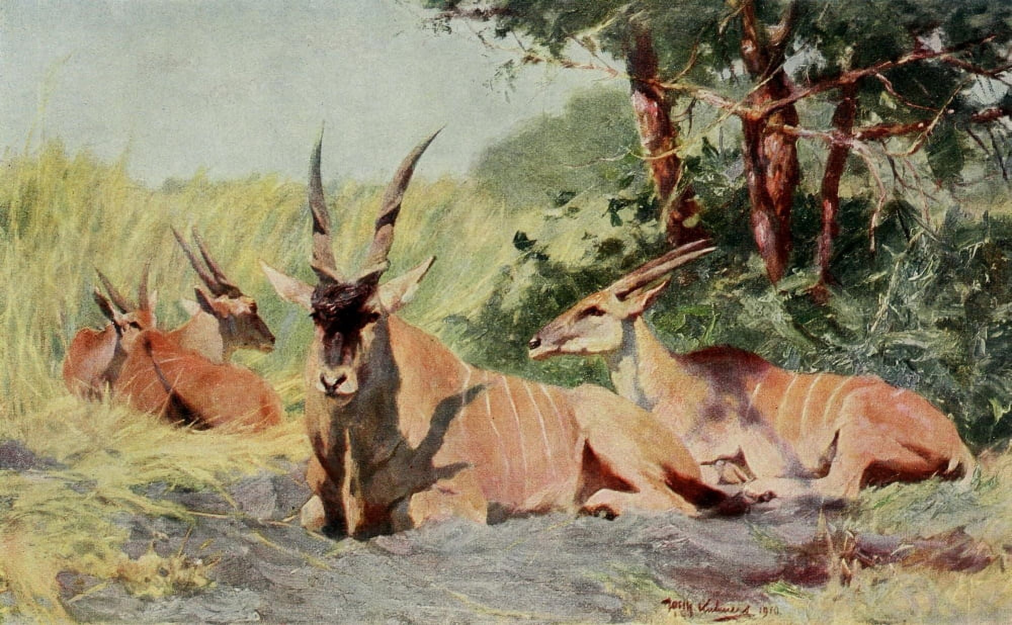 Im Lande meiner Modelle 1918 Antelope Canvas Art - FW Kuhnert (24 x 36)