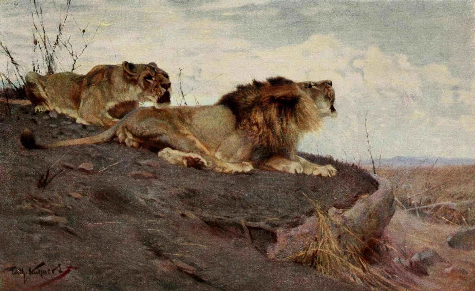 Im Lande meiner Modelle 1918 Lions Canvas Art - FW Kuhnert (18 x 24)