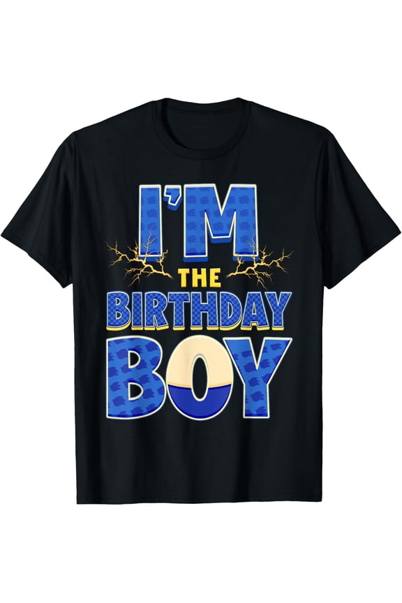 Im The Birthday Boy Hedgehog Family Party Decorations T-Shirt