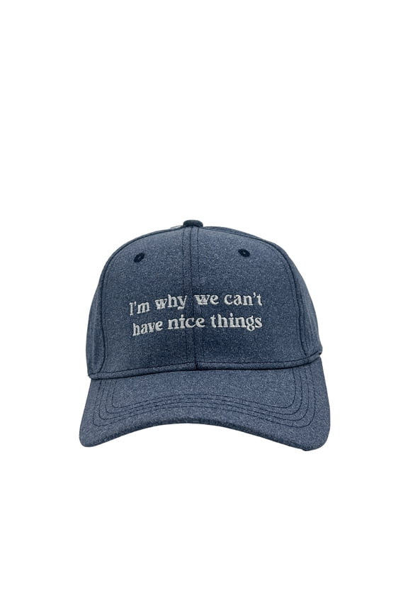 Im Why We Cant Have Nice Things Hat Funny Sarcastic Baseball Cap
