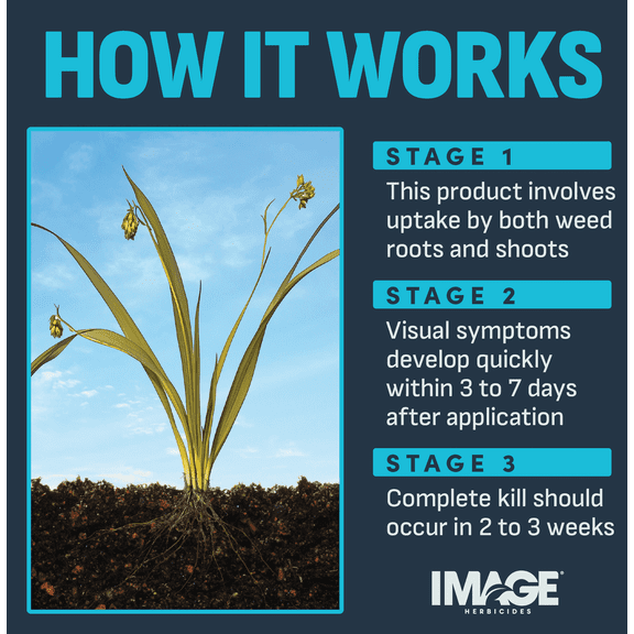 Image All-In-One Lawn Weed Killer - Pack of 4 Residential Use, Standard Application