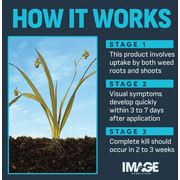Image All-In-One Lawn Weed Killer - Single Pack