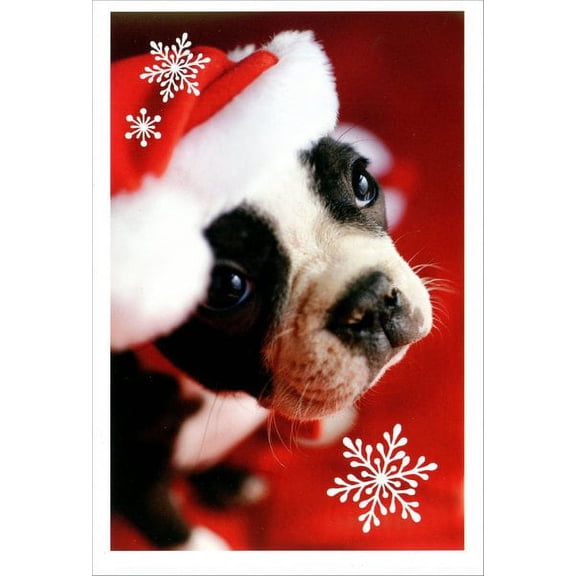 Image Arts Boxer in Santa Hat Christmas Card