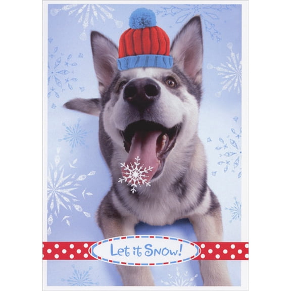 Image Arts Husky with Snowflake on Tongue Holiday Card