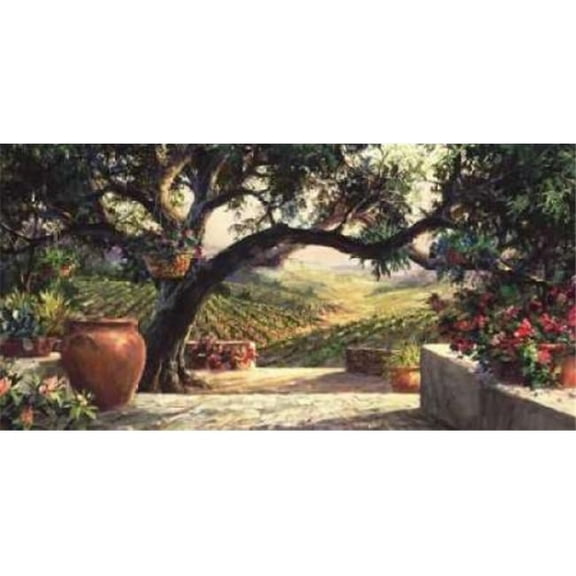 Image Conscious PDXF355DSMALL Napa Patio Poster Print by Art Fronckowiak, 10 x 20 - Small