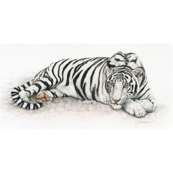 Image Conscious PDXH500DLARGE Siberian Tiger Poster Print by Jan Henderson, 24 x 48 - Large