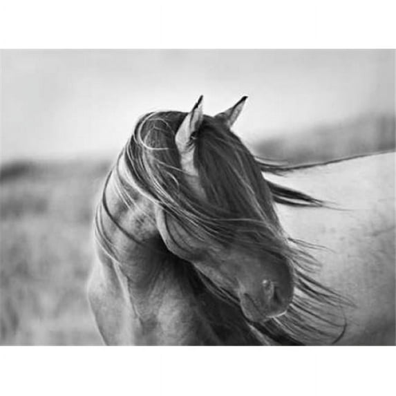 Image Conscious PDXS1450DSMALL Fierce Grace Poster Print by Tony Stromberg, 9 x 12 - Small