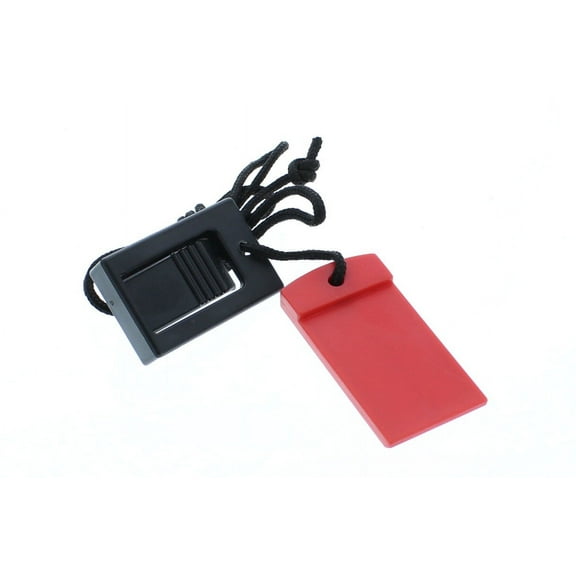 Image Executive 2002 HGTL0911 C0 Safety Key Part Number 119038