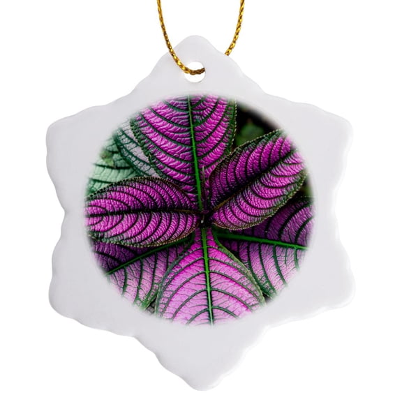 3drose, Image of a Persian Shield Plant, Strobilanthes Dyerianus, Costa Rica, 3 inch Snowflake Porcelain Ornament