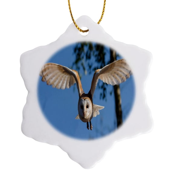 3drose, Image of Barn Owl in Flight, 3 inch Snowflake Porcelain Ornament