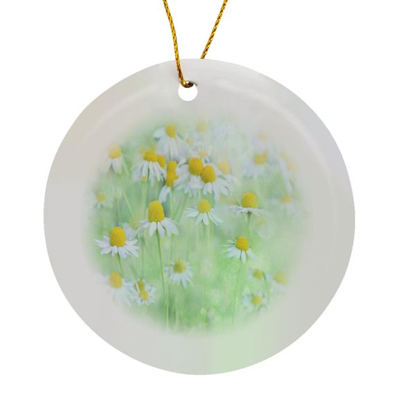 3drose, Image of Close up of Daisies in the Meadow, Circle Porcelain Ornament