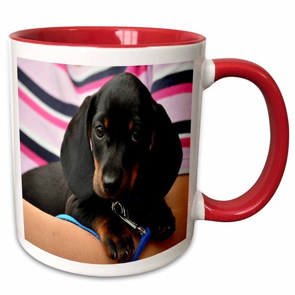 3drose, Image of Dachshund Puppy Portrait, 15oz Two-tone Red Mug