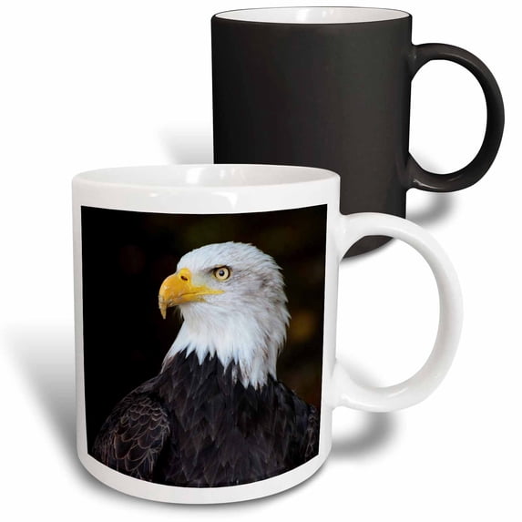 3drose, Image of Eagle Head Close Up, 11oz Magic Transforming Mug