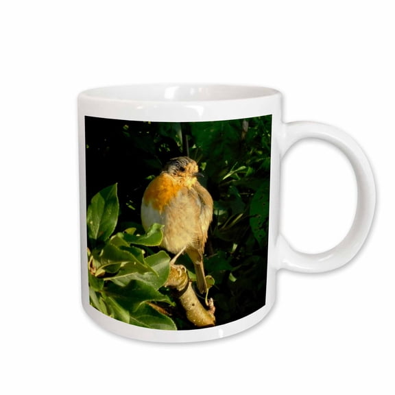 3drose, Image of English Robin in Late Summer, 15oz Mug