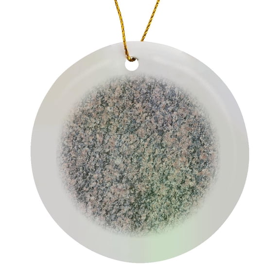 3drose, Image of Granite Stone Rock. Brown and Black Grain Pattern, Texture, Circle Porcelain Ornament