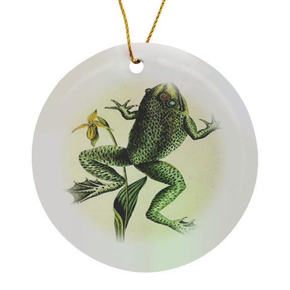 3drose, Image of John Audubon Frog Painting, Circle Porcelain Ornament