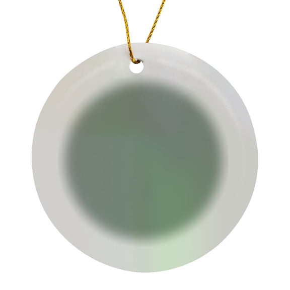 3drose, Image of Large Square Sage Gray Muted Green Designer Color, Circle Porcelain Ornament
