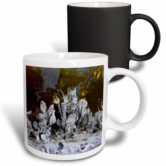 3drose, Image of Oyster Shells Line the Seawalls in Florida Canal, 11oz Magic Transforming Mug