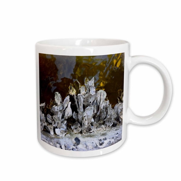 3drose, Image of Oyster Shells Line the Seawalls in Florida Canal, 15oz Mug