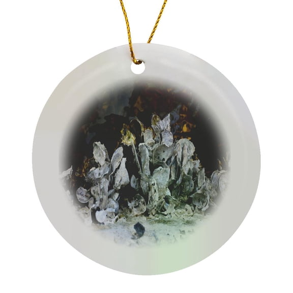 3drose, Image of Oyster Shells Line the Seawalls in Florida Canal, Circle Porcelain Ornament
