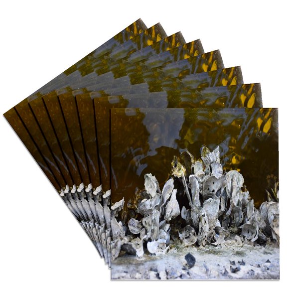 3drose, Image of Oyster Shells Line the Seawalls in Florida Canal, Set of 8 Ceramic Tile Coasters