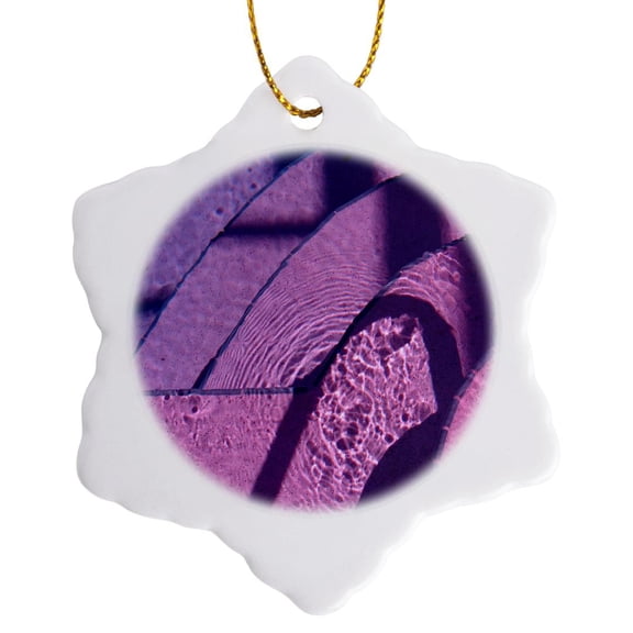 3drose, Image of Pool Steps under Violet Color Water, 3 inch Snowflake Porcelain Ornament