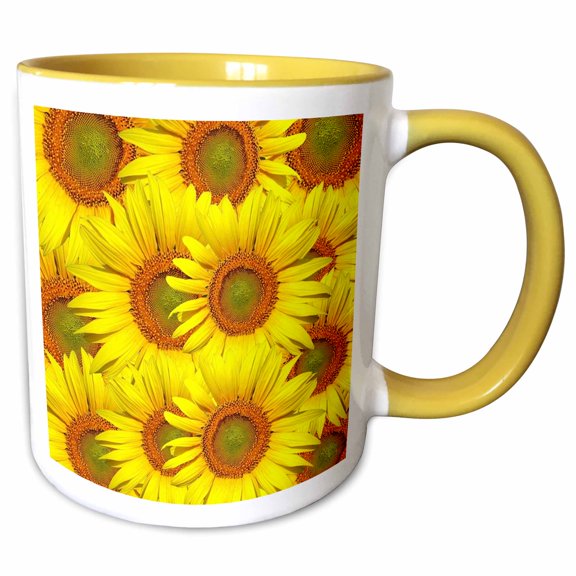 3drose, Image of Real Yellow Daisies Overlap, 11oz Two-tone Yellow Mug
