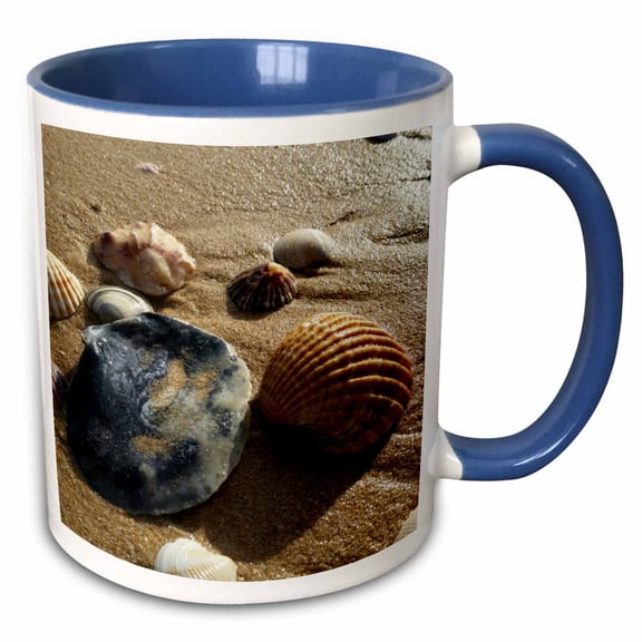 3drose, Image of Seashells from Algarve Portugal, 15oz Two-tone Blue Mug