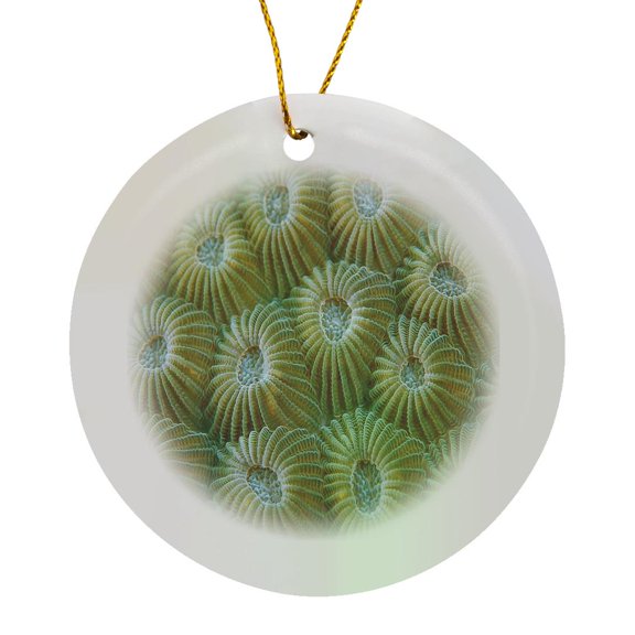 3drose, Image of Underwater Coral in Pacific Ocean, Circle Porcelain Ornament