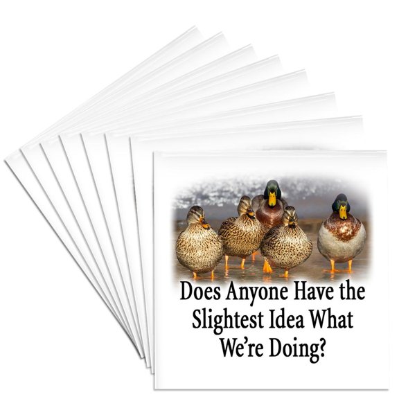 3drose, Image of Words Does Anyone Have the Slightest Idea What Were Doing, Set of 8 Ceramic Tile Coasters