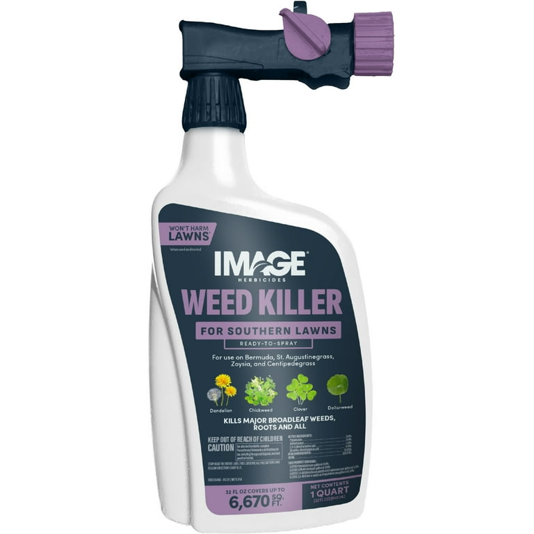 house plant wholesale Rare Pre-Pack #1