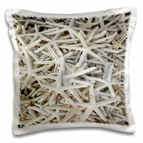 3dRose, Image of Group Of Florida Starfish, 16x16 inch Pillow Case