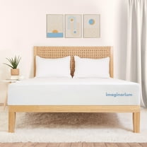 Imaginarium 10" Hybrid of Memory Foam and Coils Mattress with Antimicrobial Treated Cover, King
