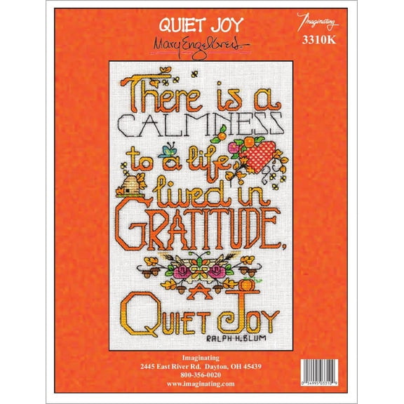Imaginating Counted Cross Stitch Kit 5"X8"-Quiet Joy (28 Count)
