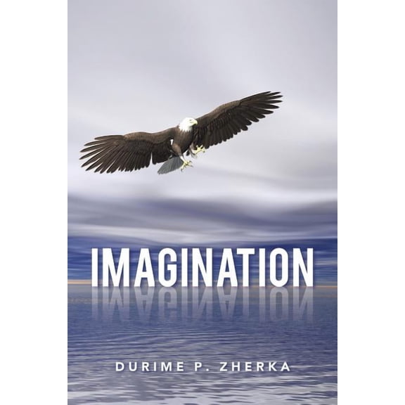 Imagination (Paperback)