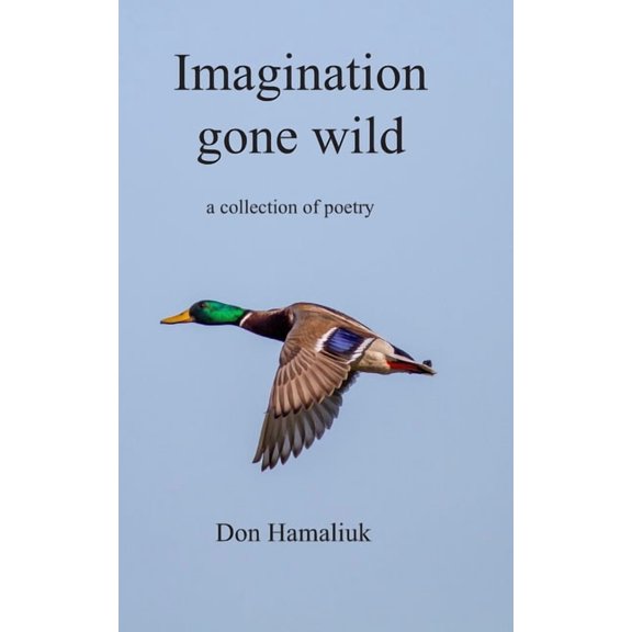 Imagination Gone Wild, (Paperback)