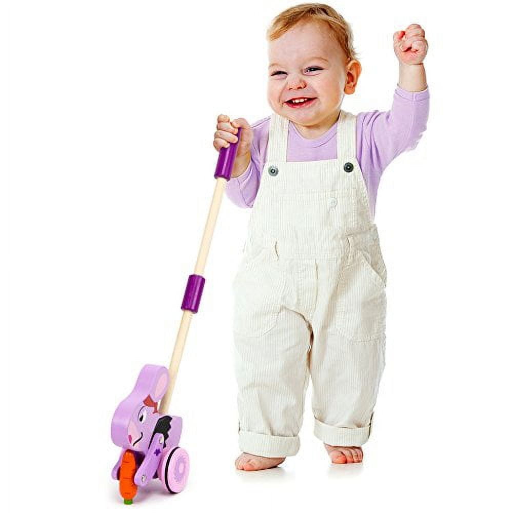 Imagination Radical Racers Burnout Bunny Wooden PushAlong Walking Toy