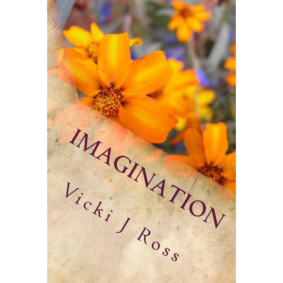 Imagination: Where reality and fantasy collide (Paperback)