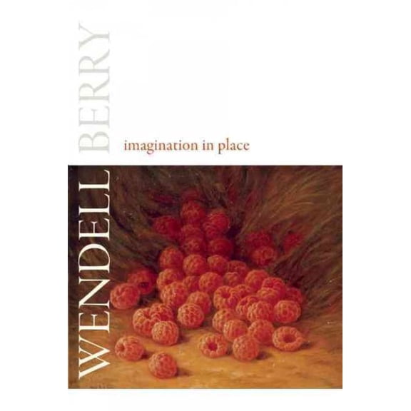 Imagination in Place (Paperback)