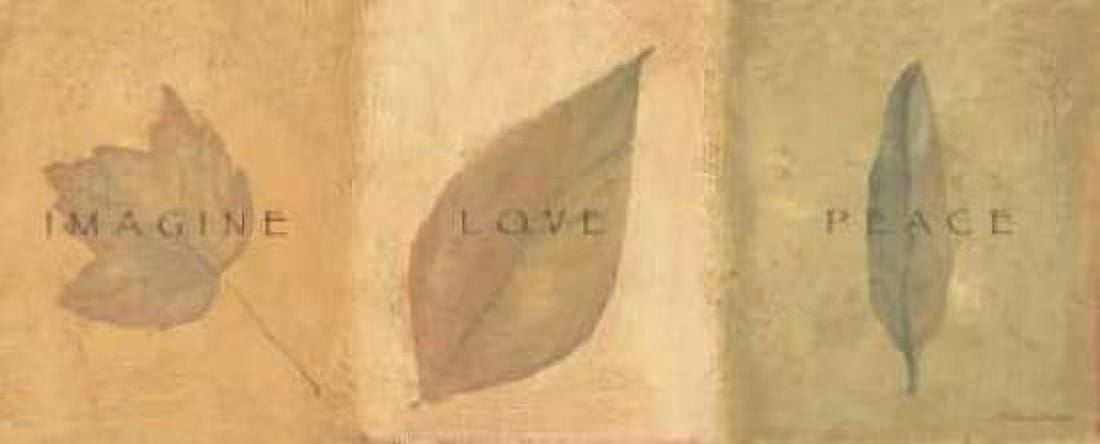 Imagine Love Peace Canvas Art - Stephanie Marrott (24 x 48)