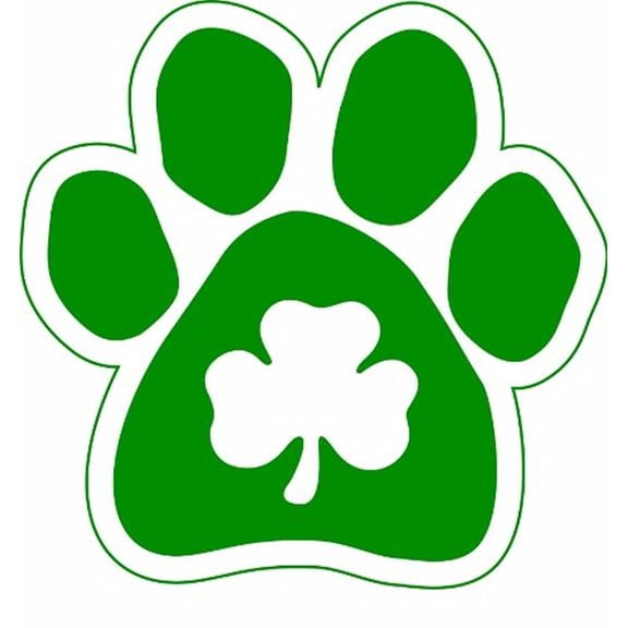 Imagine This 5-1/2-Inch by 5-1/2-Inch Car Magnet Lucky Irish, Shamrock in Paw