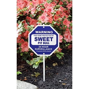 Imagine This Sweet Pit Bull Silly Security Sign