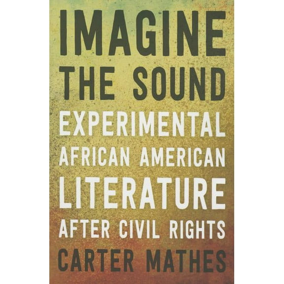 Imagine the Sound : Experimental African American Literature after Civil Rights (Paperback)