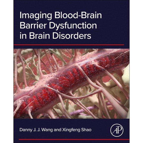 Imaging Blood-Brain Barrier Dysfunction in Brain Disorders, (Paperback)