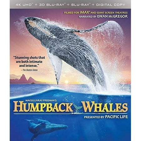 Imax: Humpback Whales