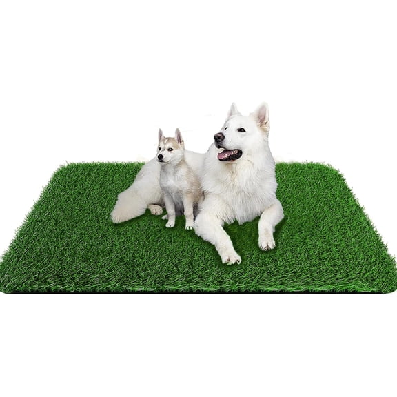 Imerelez Dog Grass Pee Pad 30" x 25" 2 Pack, Washable Indoor Potty Training Replacement Grass Turf for Puppy Dogs, Easy to Clean