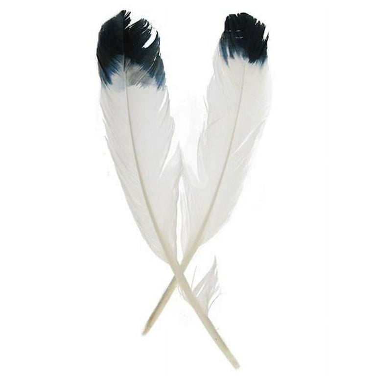 White & Black Imitation Eagle Feathers - 9 - 11, Hobby Lobby