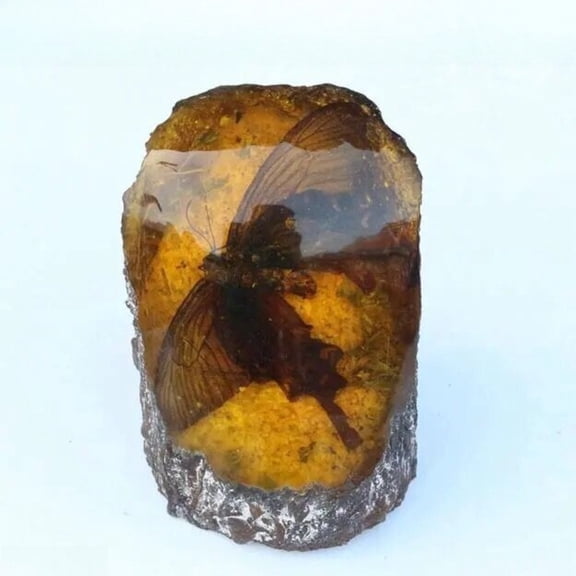Imitation Amber Butterfly Insect Pendant Resin Specimen Ornament Fossil Style Display for Office Home Educational Science