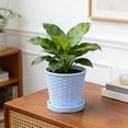 thumbnail image 1 of Imitation Bamboo Woven Round Plastic Flower Pot, Shatterproof Lightweight Durable Planter, Breathable Drainage Pot with Tray for Green Plants Succulents Home Indoor Outdoor Decor, 1 of 6